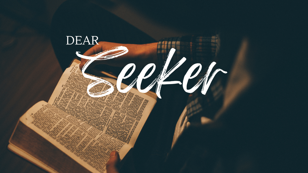 Dear Seeker